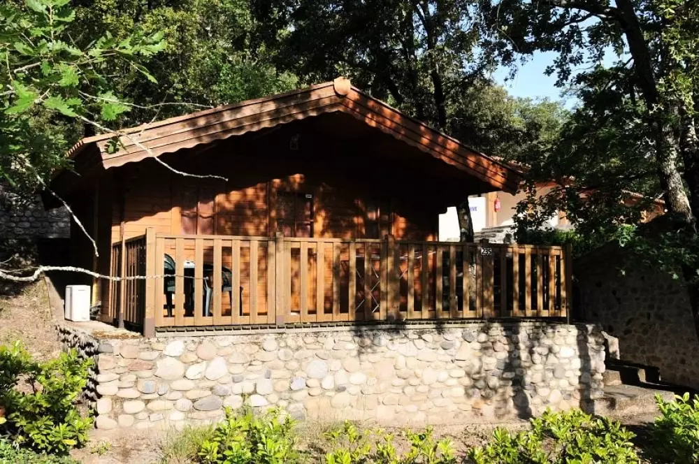 BLACHAS Domena 3 Gwiazdy★★★ 3 Gwiazdy★★★ 3 Gwiazdy★★★