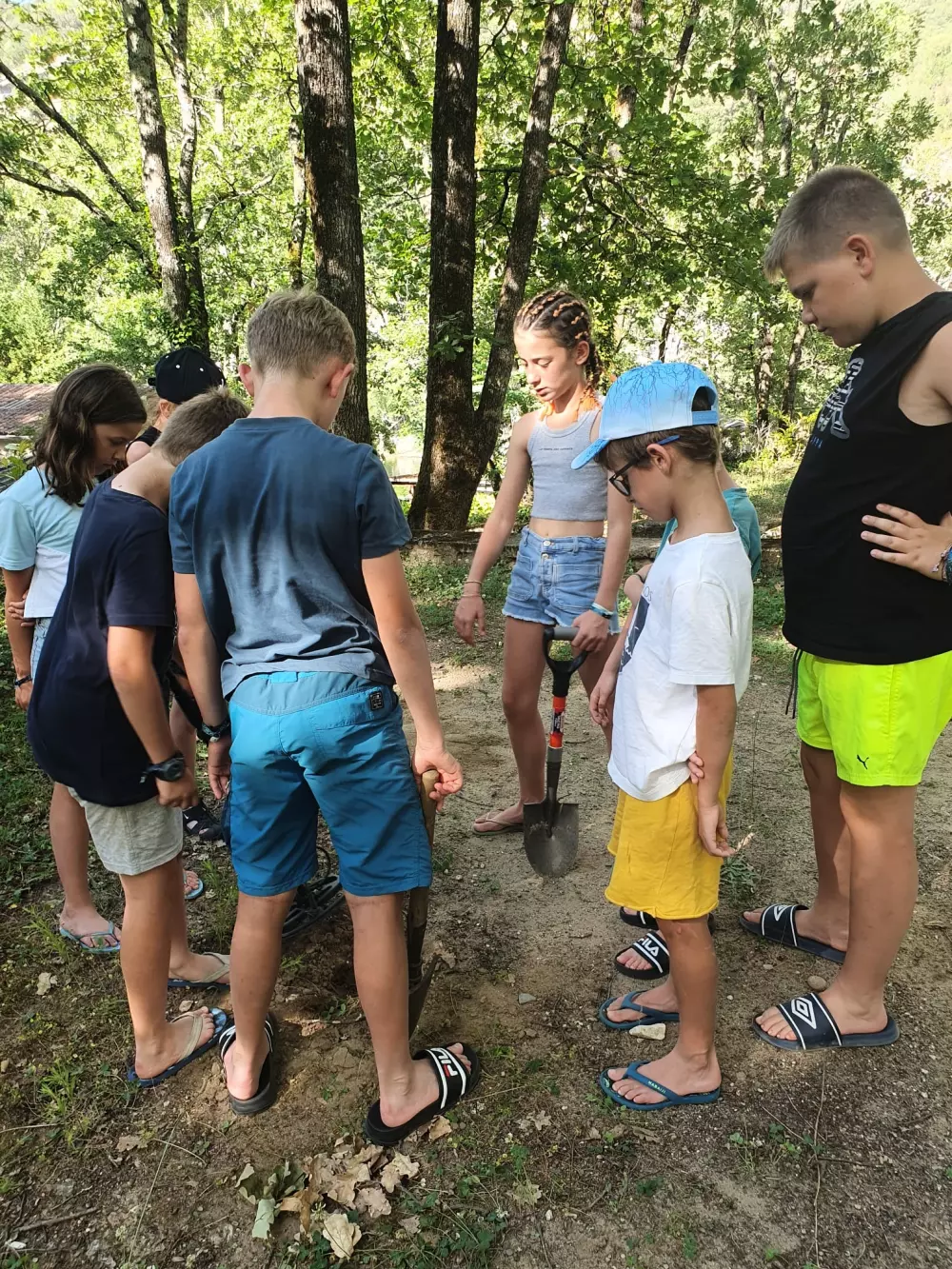 BLACHAS Domena 3 Gwiazdy★★★ 3 Gwiazdy★★★ 3 Gwiazdy★★★