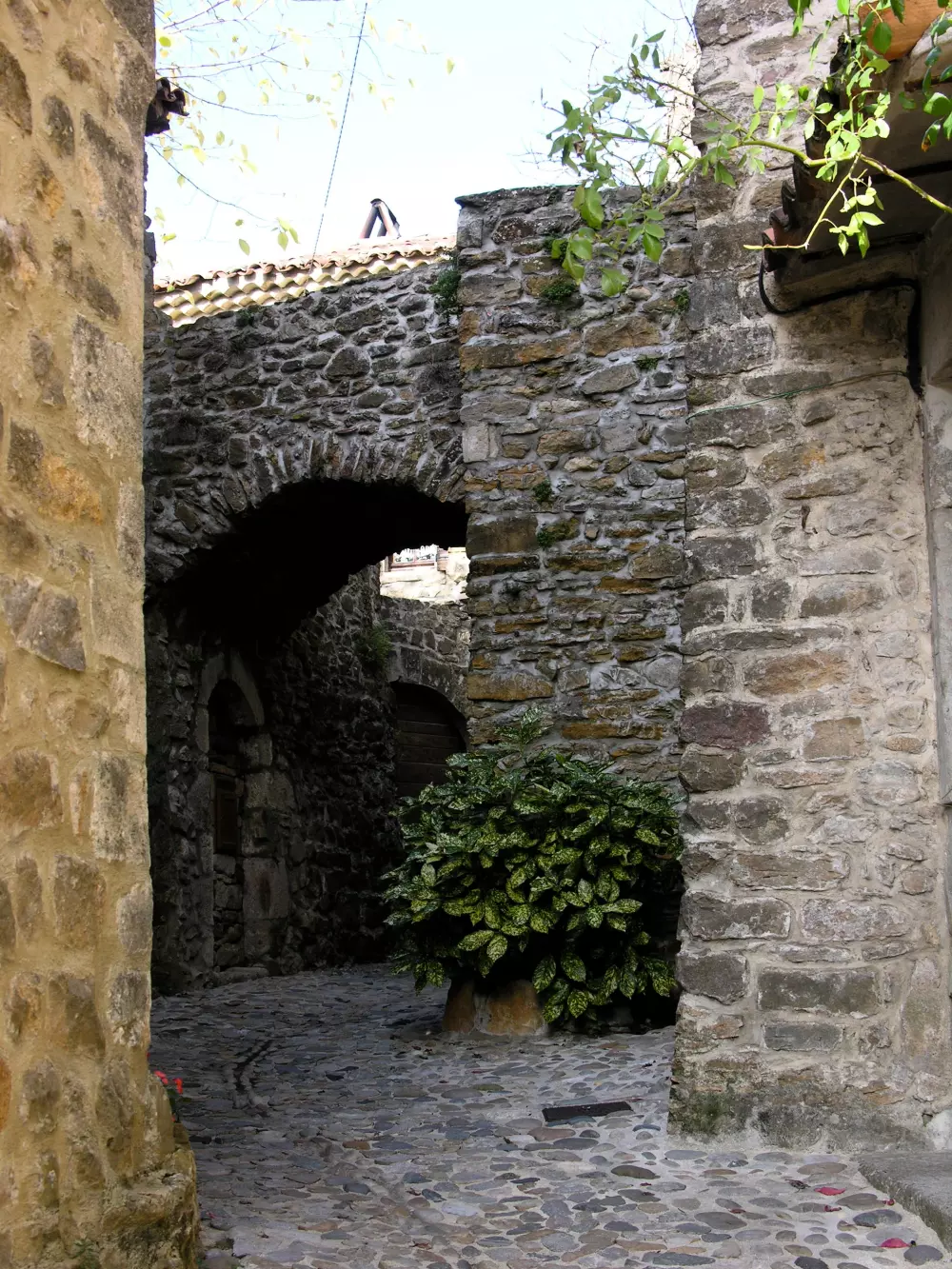 BLACHAS Domena 3 Gwiazdy★★★ 3 Gwiazdy★★★ 3 Gwiazdy★★★