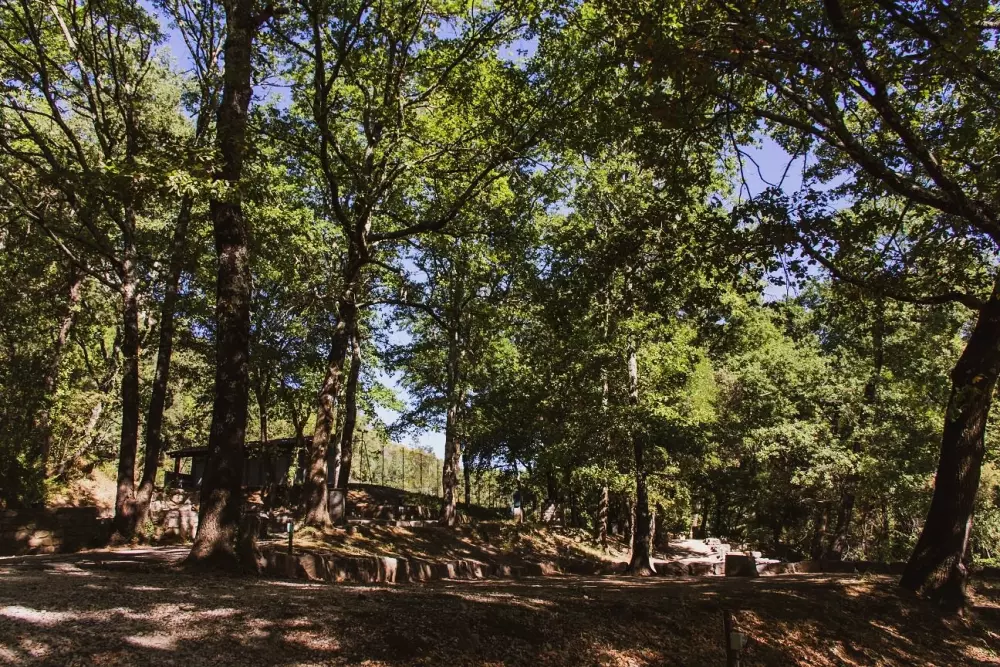 BLACHAS Domena 3 Gwiazdy★★★ 3 Gwiazdy★★★ 3 Gwiazdy★★★