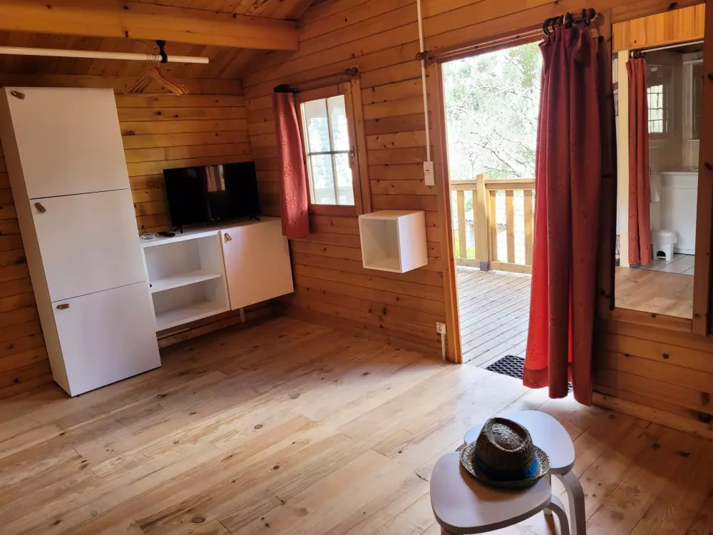 BLACHAS Domena 3 Gwiazdy★★★ 3 Gwiazdy★★★ 3 Gwiazdy★★★