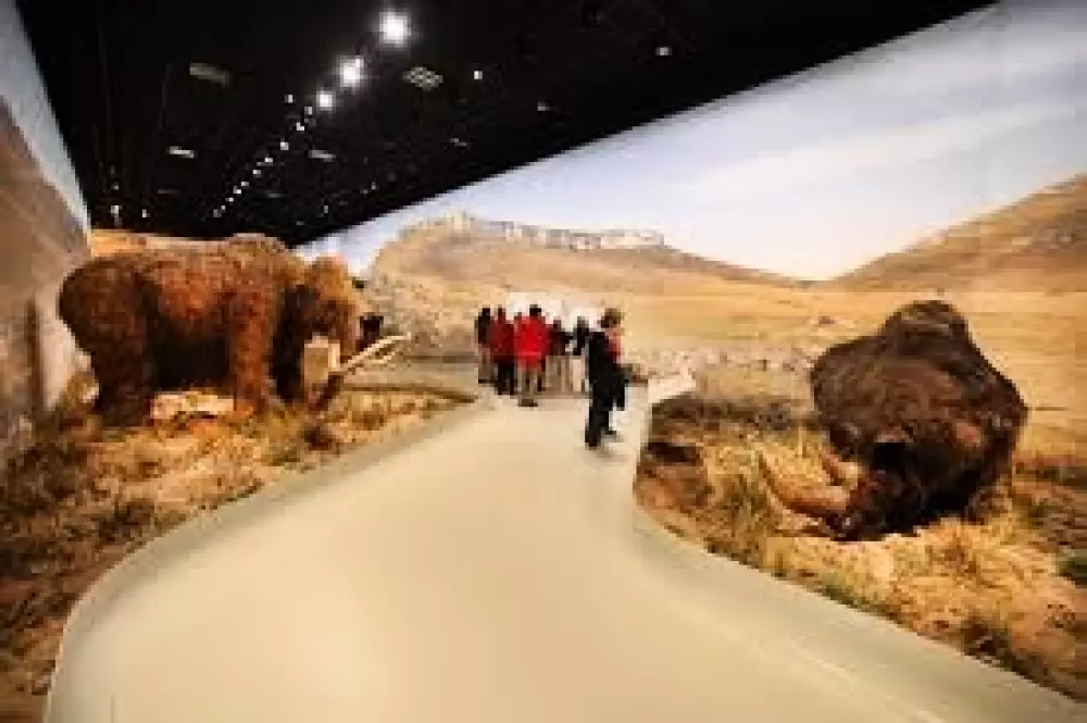 BLACHAS Domena 3 Gwiazdy★★★ 3 Gwiazdy★★★ 3 Gwiazdy★★★