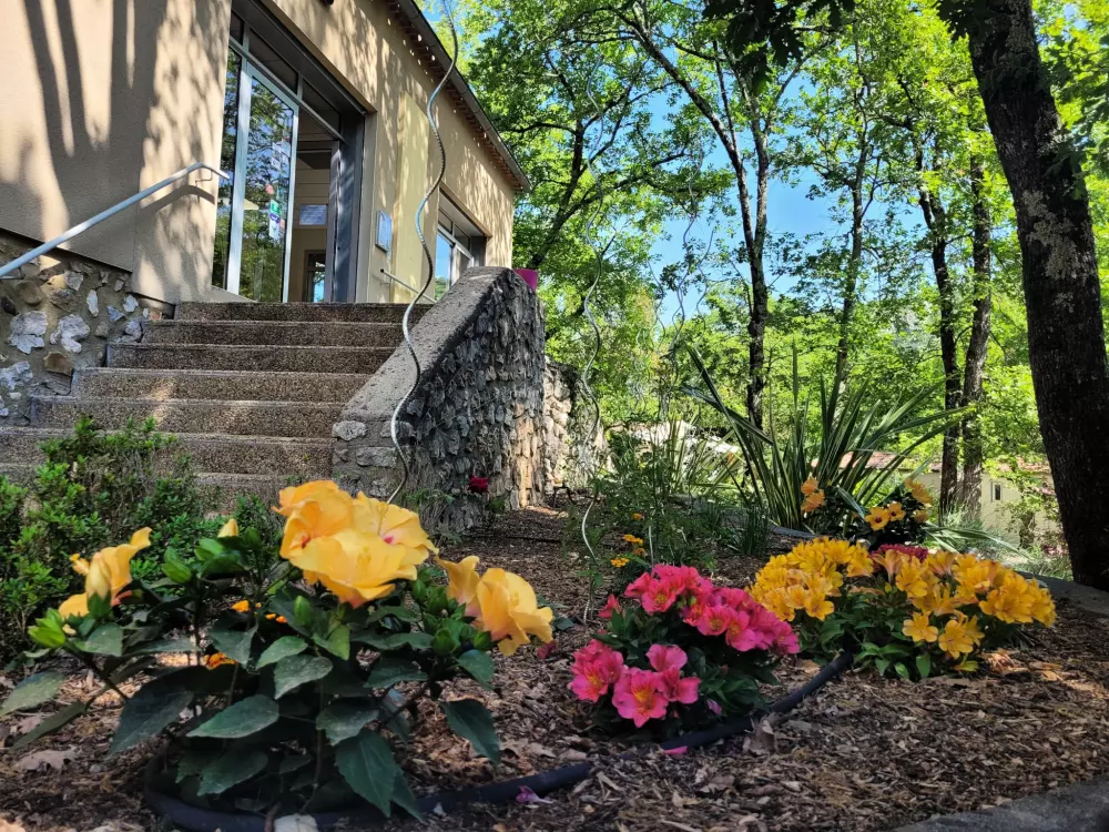 BLACHAS Domena 3 Gwiazdy★★★ 3 Gwiazdy★★★ 3 Gwiazdy★★★