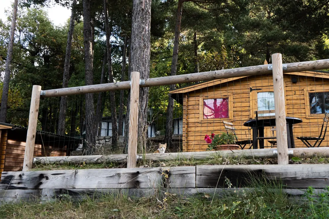 Wecamp Pedraforca 4 étoiles★★★★