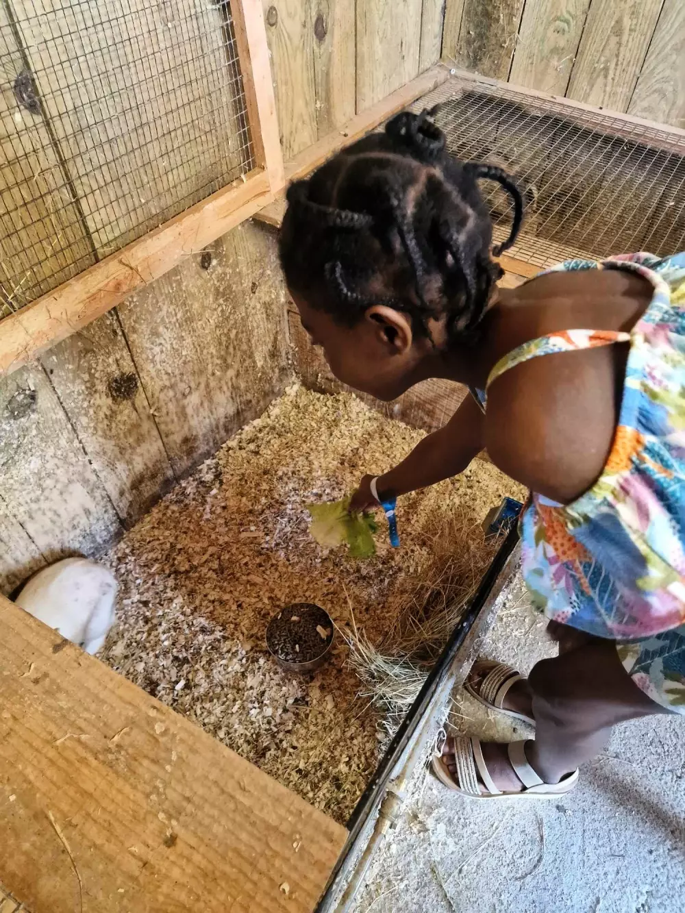 Camping Les P'tites Maisons dans la Prairie 3 Stars★★★