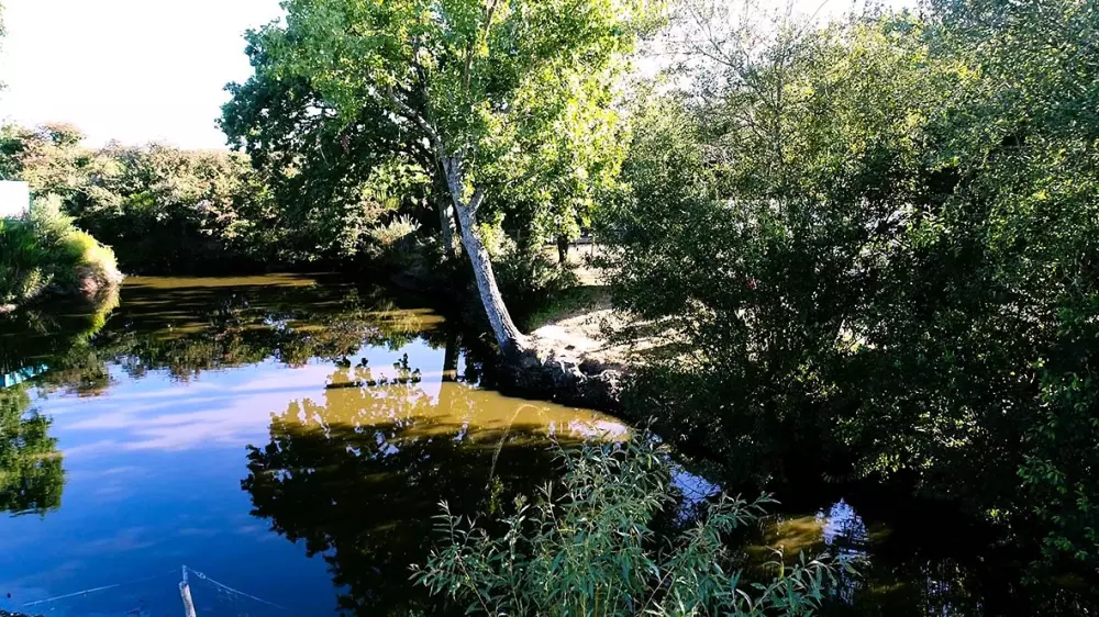 Camping Les P'tites Maisons dans la Prairie 3 Stars★★★