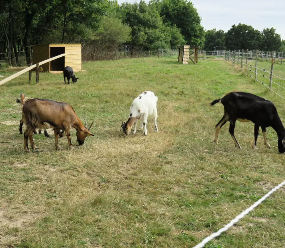 Camping Les P'tites Maisons dans la Prairie 3 Stars★★★