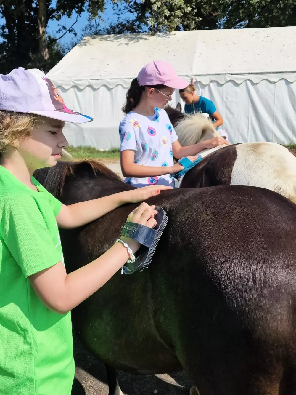 Camping Les P'tites Maisons dans la Prairie 3 Stars★★★