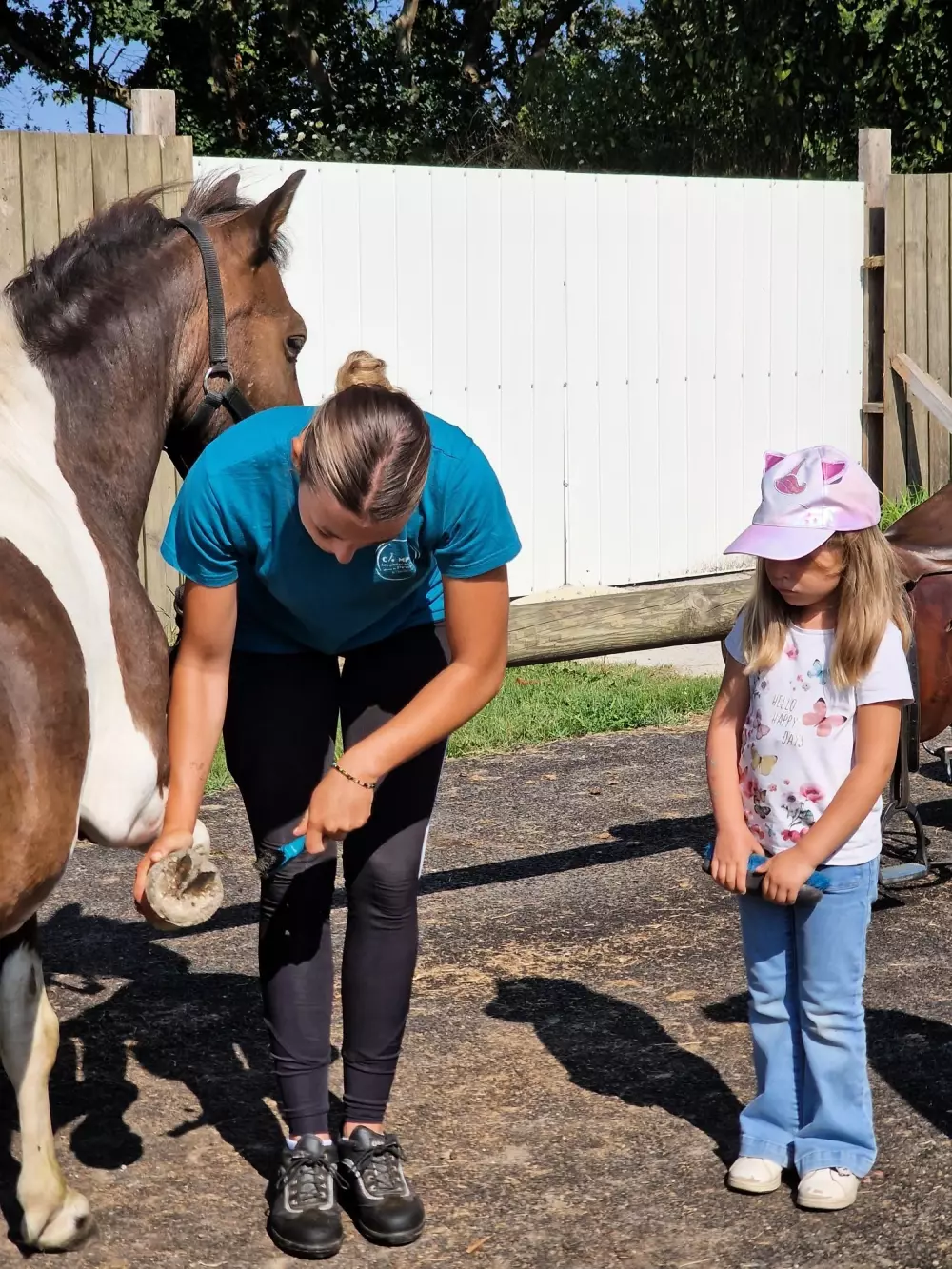 Camping Les P'tites Maisons dans la Prairie 3 Stars★★★