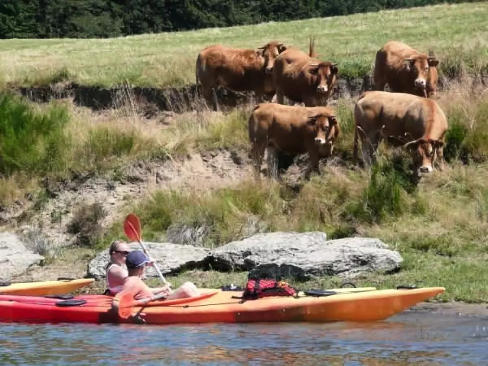 Campingplads Beau-Rivage Tætning