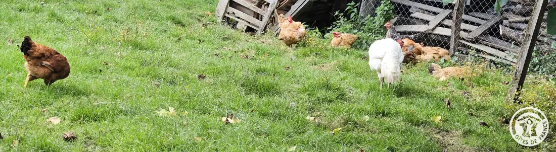 Gîte de France De drie oren marousie