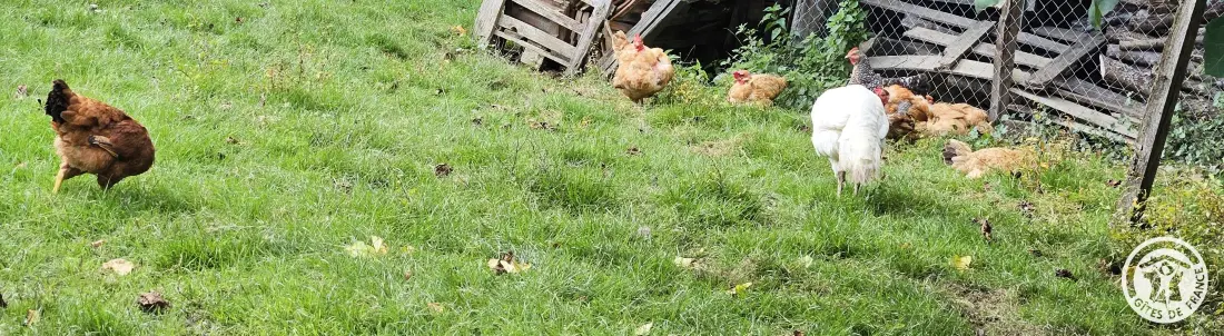 Gîte de France De drie oren marousie
