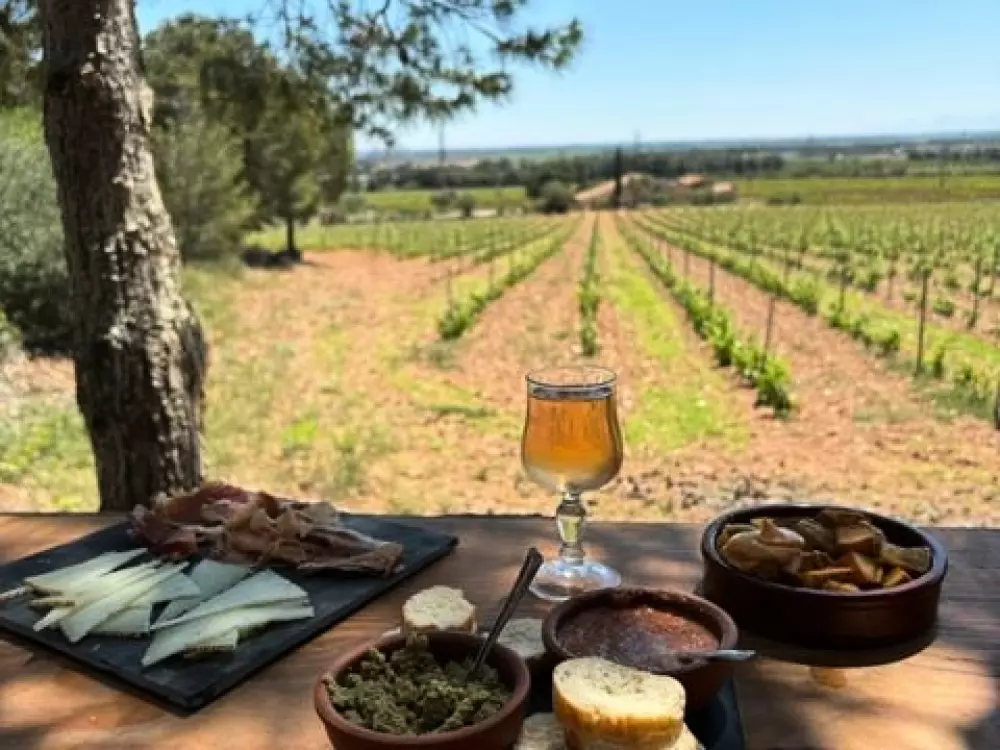 Camping Le Bois De Pins 3 Stars★★★