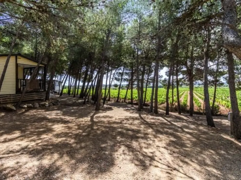 Camping Le Bois De Pins3 Sterren★★★