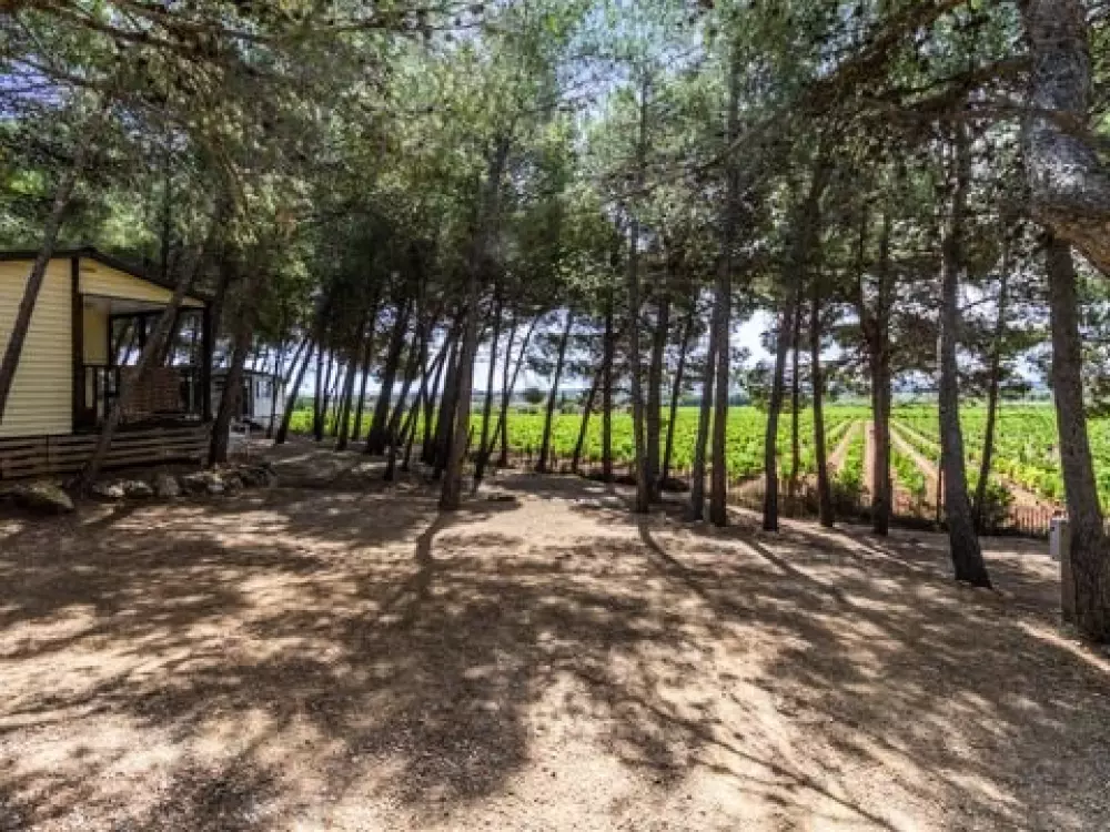 Camping Le Bois De Pins 3 Stars★★★