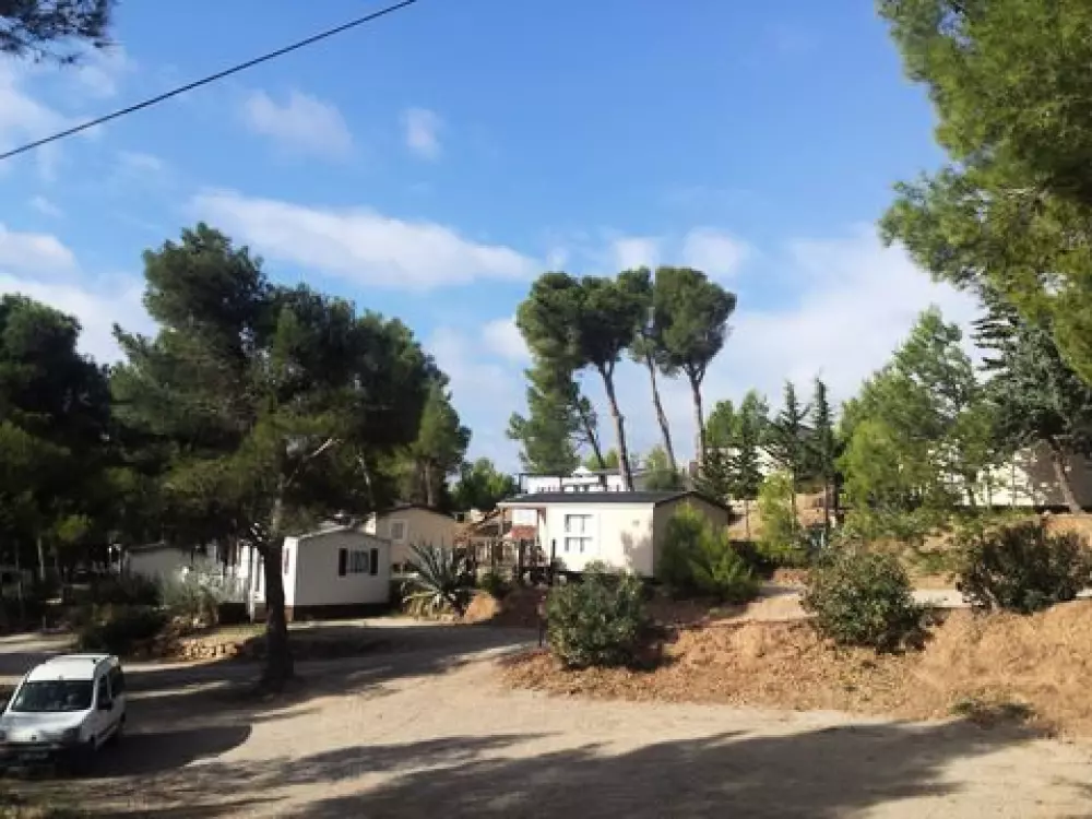 Camping Le Bois De Pins 3 étoiles★★★