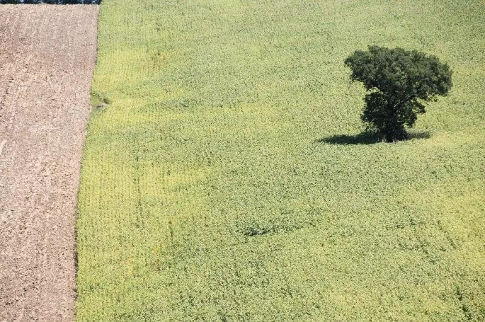 Camping Village Mar Y Sierra 3 Gwiazdy★★★