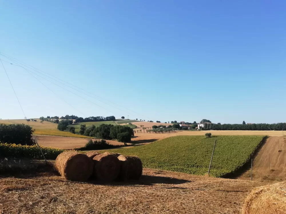 Camping Village Mar Y Sierra 3 Gwiazdy★★★