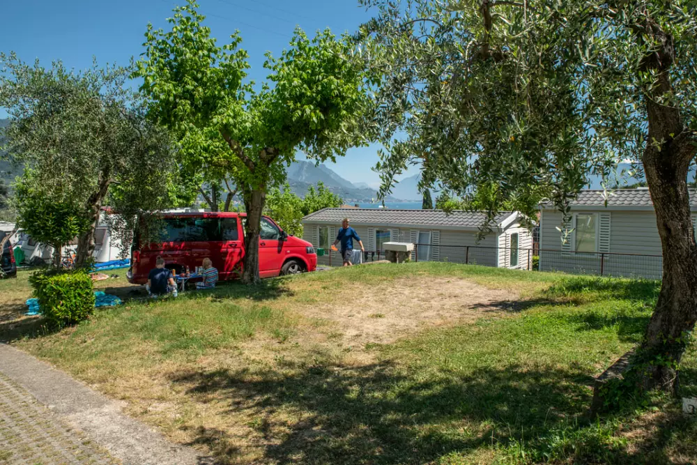 Campingplads Eden4 Stjerner★★★★