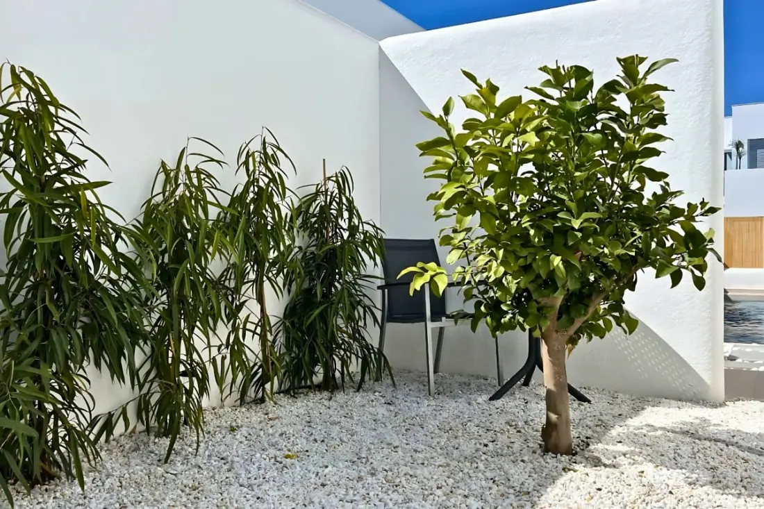 Villa Private Pool San Fulgencio