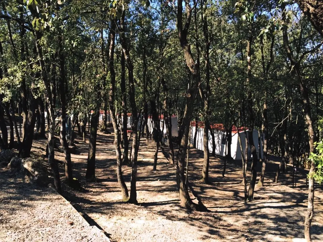 Camping Boschetto di Piemma 3 Sterren★★★