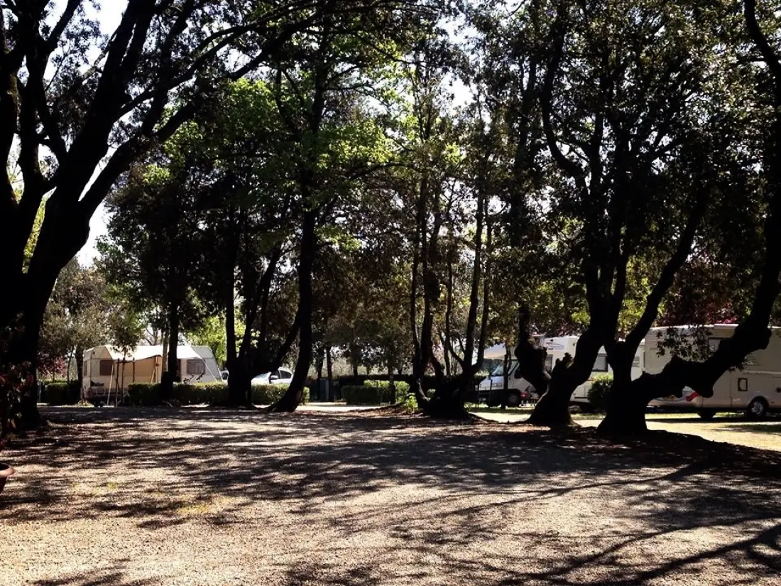 Camping Boschetto di Piemma 3 Sterren★★★