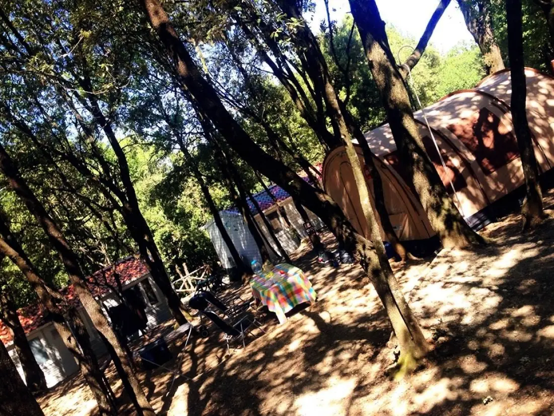 Camping Boschetto di Piemma 3 Sterren★★★