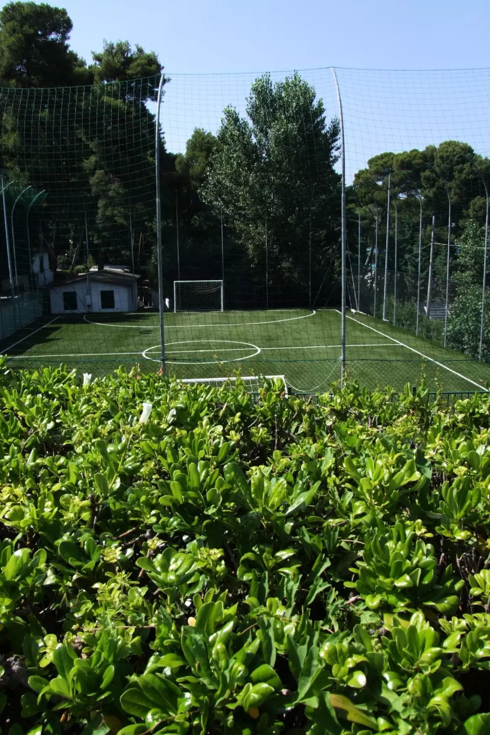 Camping Village Internazionale 5 Sterren★★★★★