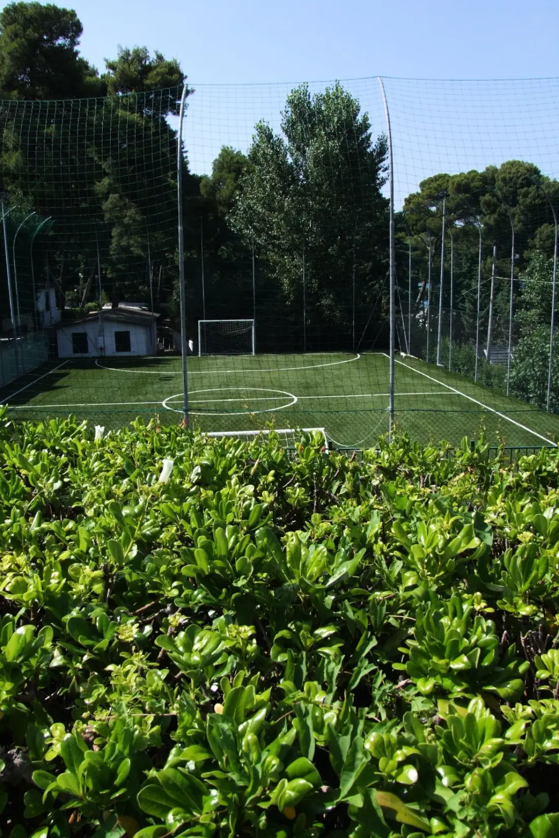 Campeggio Village Internazionale E' il momento giusto.