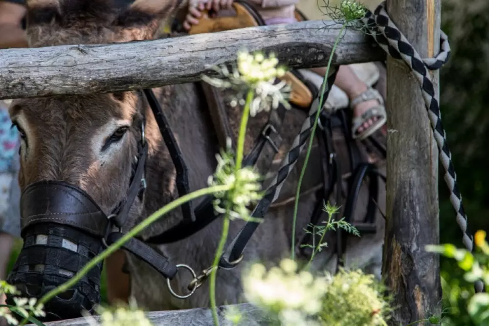 Campsite Merendella Útvonalterv