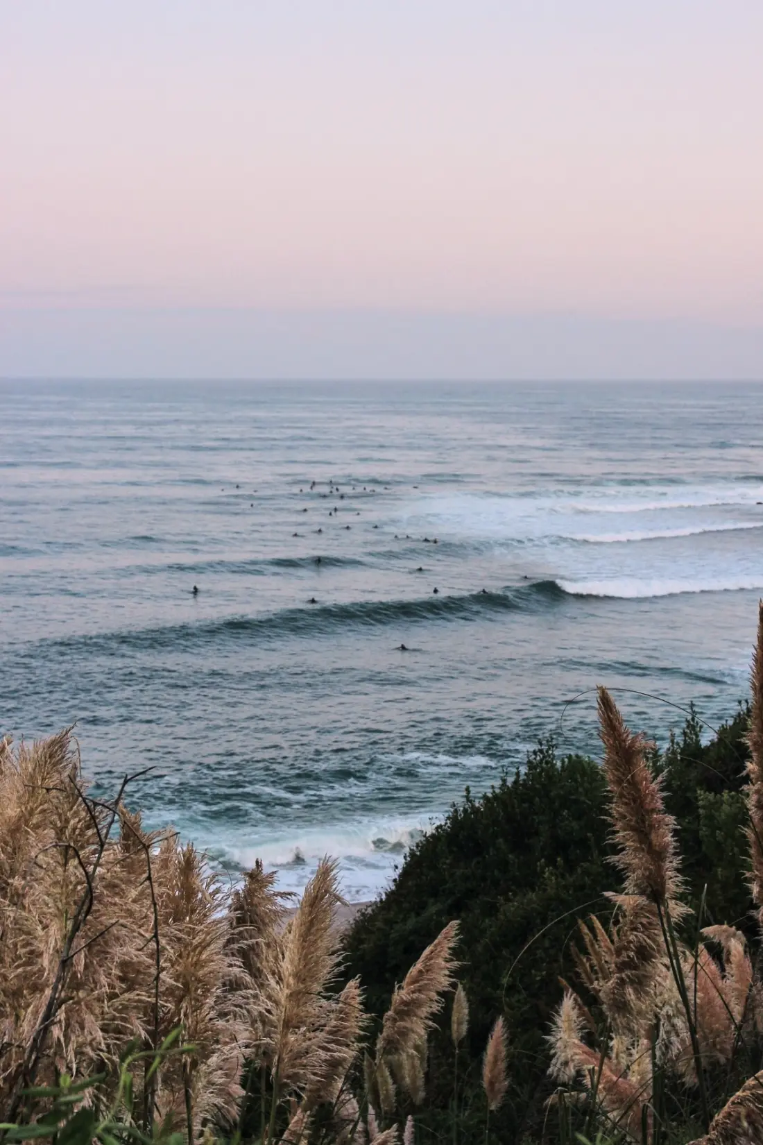 Wecamp San Sebastián 4 Sterne★★★★