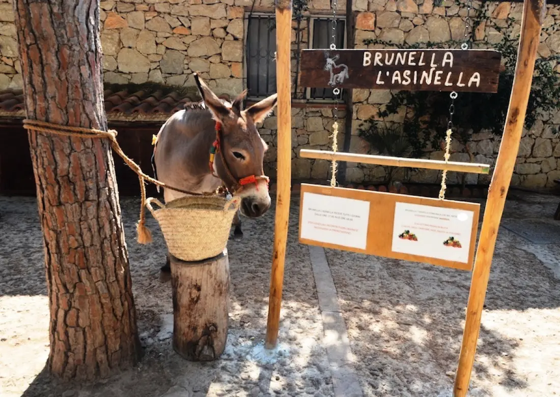 Camping Village El Bahira4 Stelle★★★★