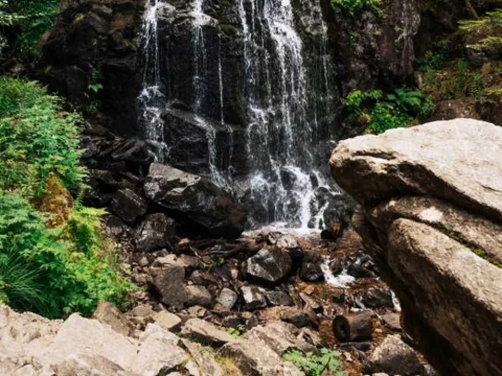 Sunêlia Camping Les Nids Du Lac 4 Gwiazdy★★★★ 4 Gwiazdy★★★★ 4 Gwiazdy★★★★ 4 Gwiazdy★★★★