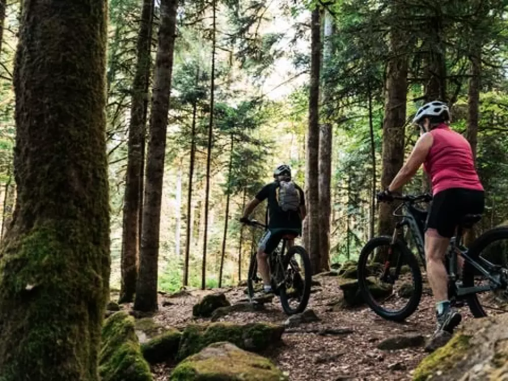 Sunêlia Camping Les Nids Du Lac 4 Stars★★★★