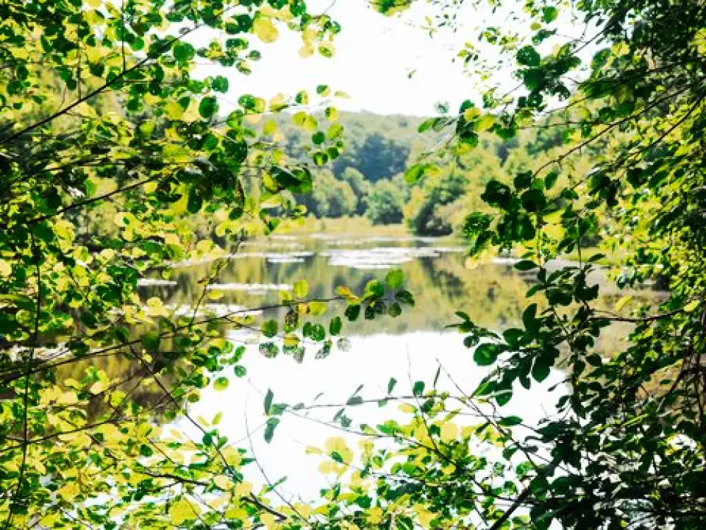 Sunêlia Camping Les Nids Du Lac 3 Sterne★★★
