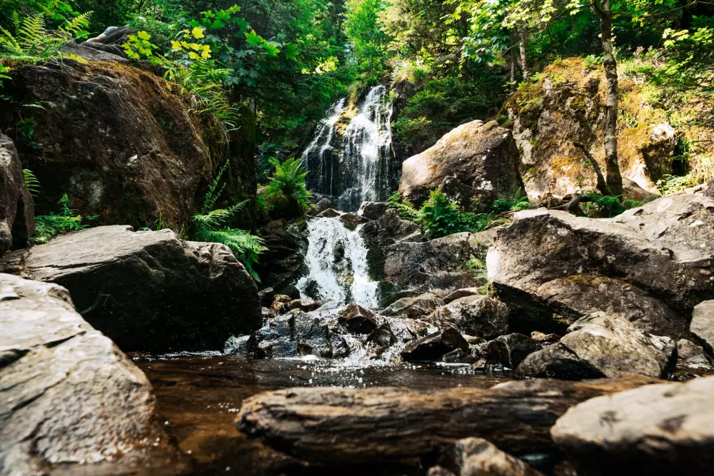 Domaine Les Nids du Lac