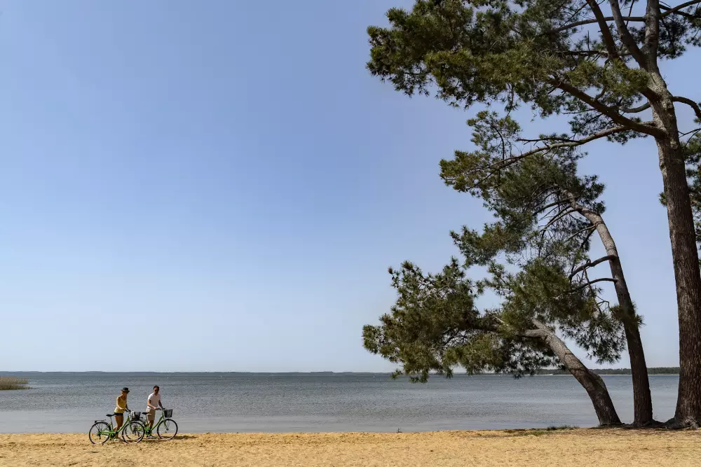 Camping Sandaya Sanguinet Plage5 Estrellas★★★★★