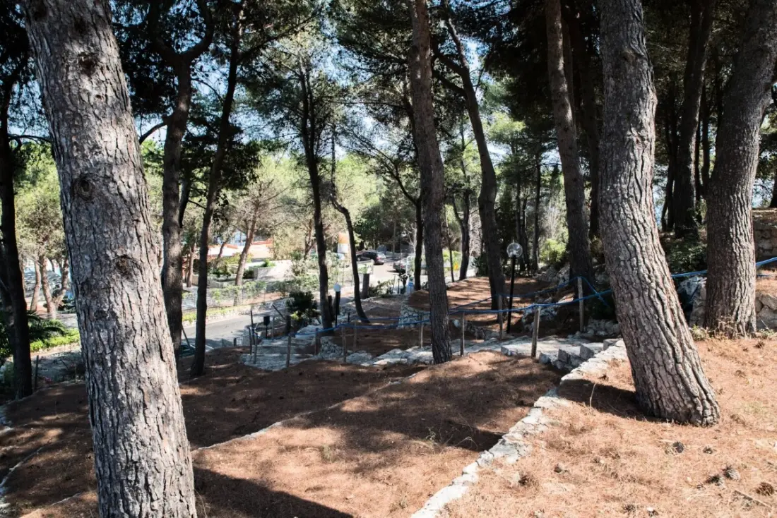 Camping La Scogliera 3 Stjerner★★★