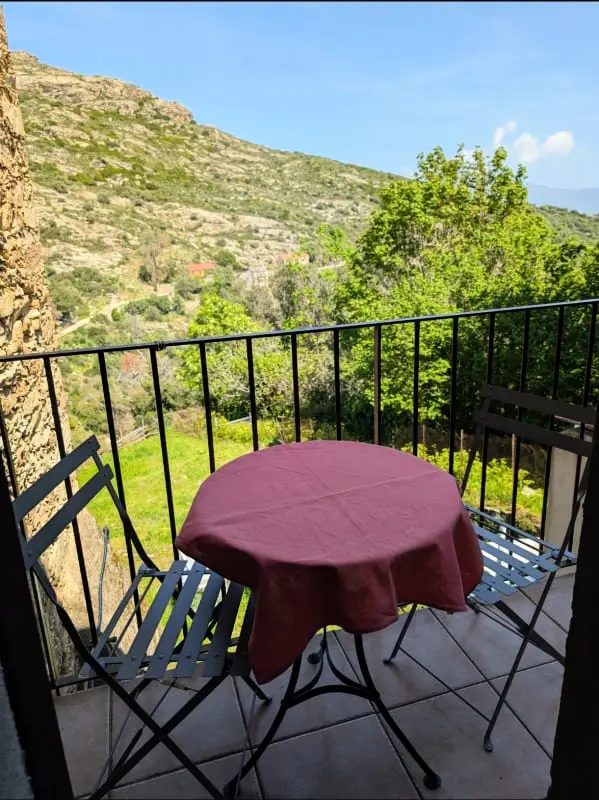 Casuccia - Charming Apartment Nebbiu szívében