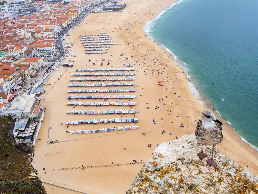 Camping Colina do Sol