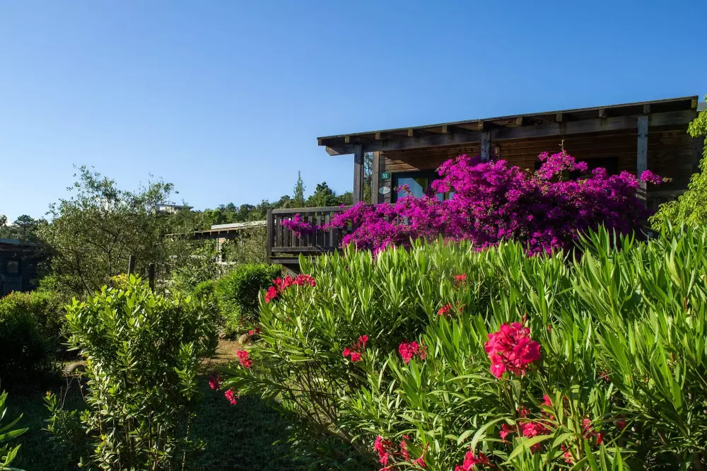 Campsite Sole Di Sari