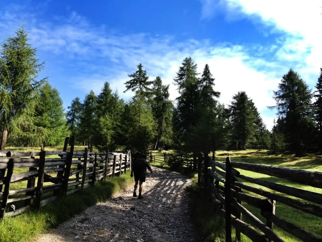 Kempingi Park Baita Dolomiti Village 3 Gwiazdy★★★ 3 Gwiazdy★★★ 3 Gwiazdy★★★