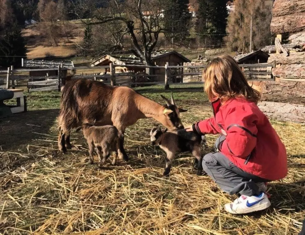 Hoteller i nærheden af Baita Dolomiti Village