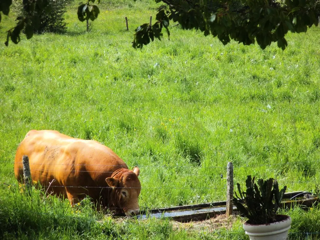 Gîte de France Chez dédé en léa 3 oren
