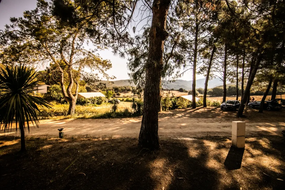 Camping Olva 3 Sterren★★★
