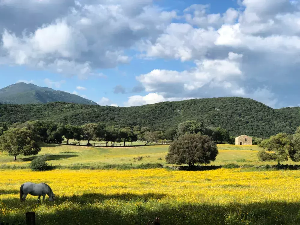 Camping Olva 3 Sterren★★★