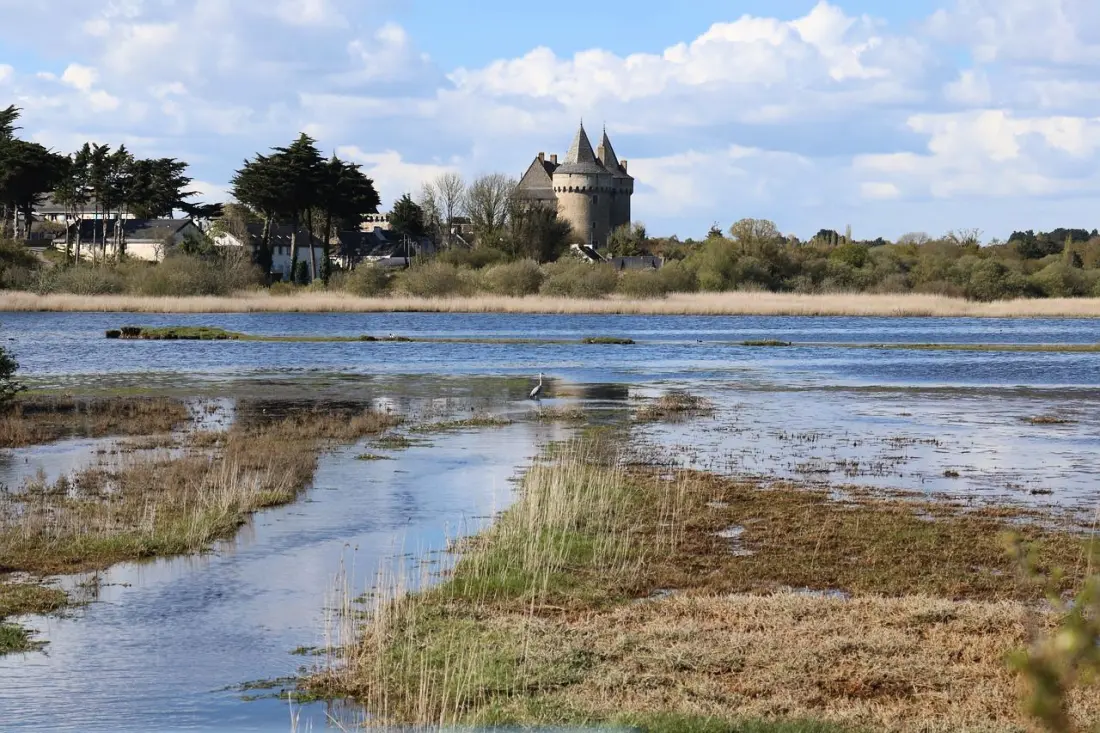 Gîte de France Ar bazeu duchess 2 Ohren
