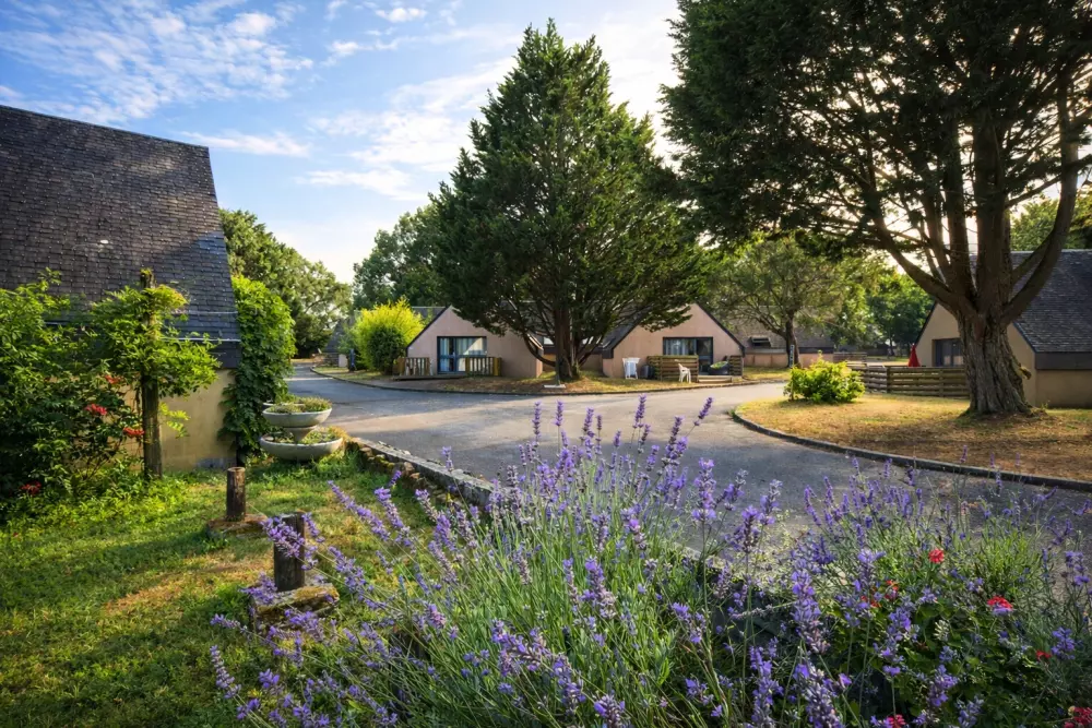 Wieś wakacyjna ULVF - Ty An Diaoul