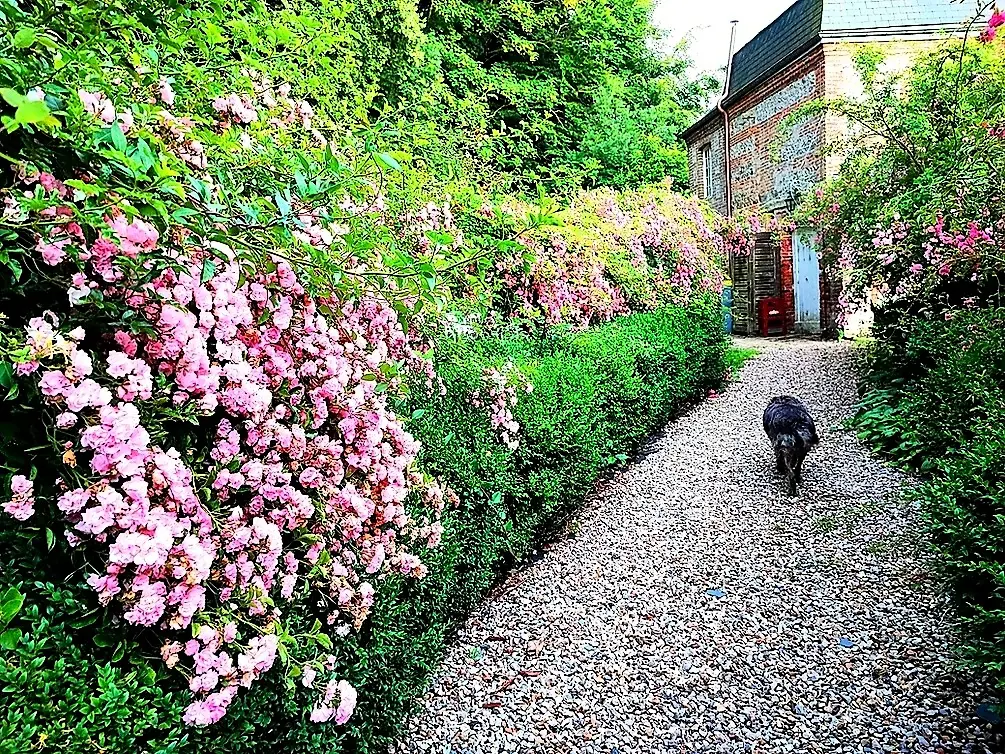 Gîte de France Gîtes de france® - a château de briquedalles 3 fül szárnya