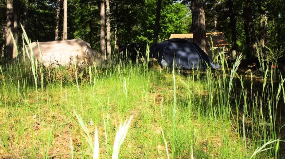 Campsite Ushuaia Villages Provence- Ventoux 2 Gwiazdy★★ 2 Gwiazdy★★